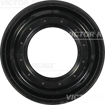 Shaft Seal, differential